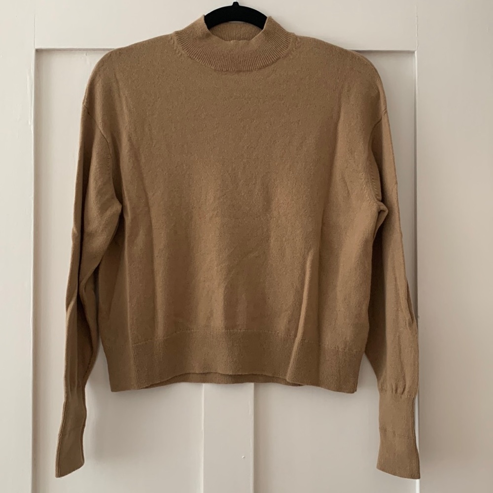 Everlane 100% cashmere sweater